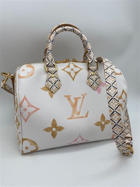 louis vuitton speedy 25|The Demographic Statistical Atlas of the United States.